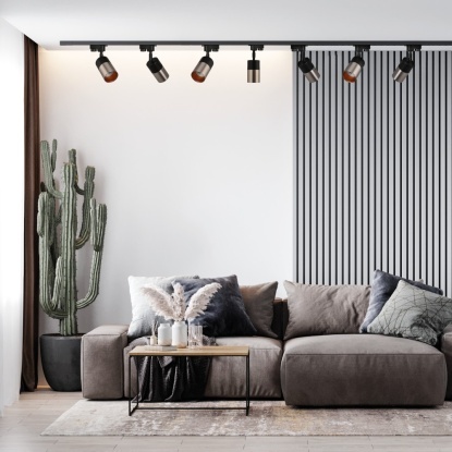 Monofaze Soketli Ray Spot - 14321-01-52 - Siyah - İnox