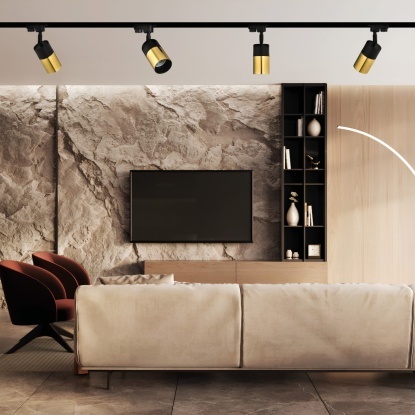 Monofaze Soketli Ray Spot - 14321-01-51 - Siyah - Gold