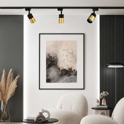 Monofaze Soketli Ray Spot - 14321-01-51 - Siyah - Gold